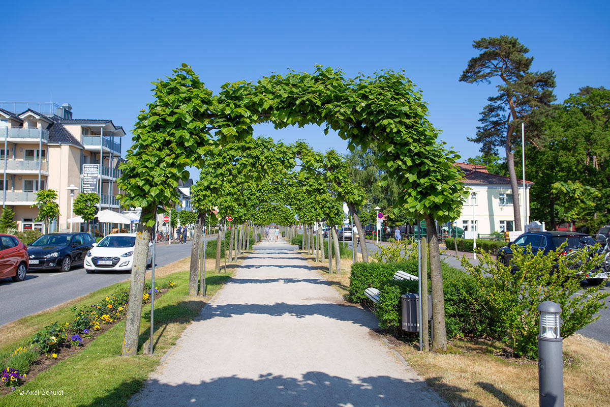 Die Strandstrasse von Baabe